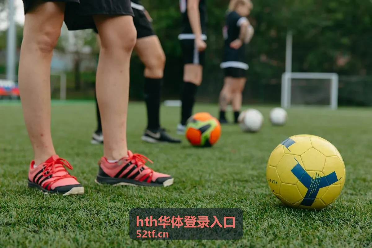 hth华体登录入口登录前环境检查示意